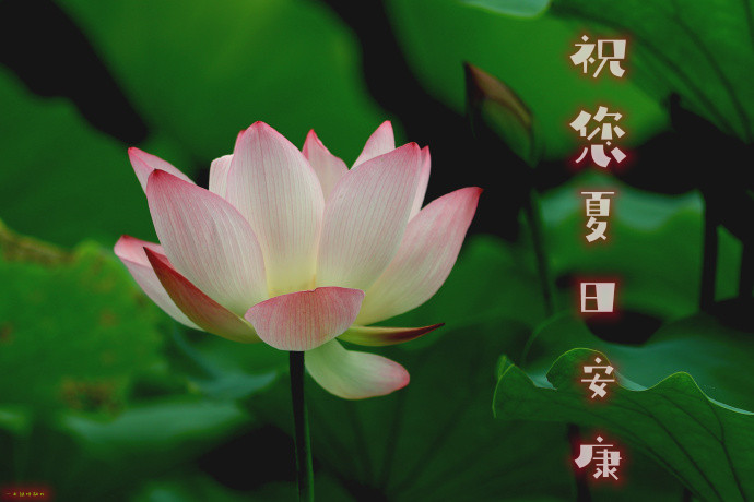 006Bri0jgy1hqkb40f14jj33d828u4qq_副本.jpg